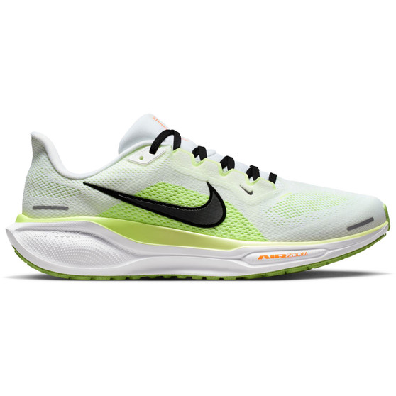 Pegasus 41