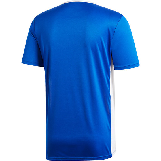 adidas Entrada Training T-Shirt