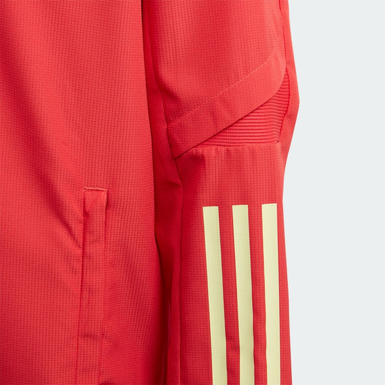 adidas België Pre-Match Jacket Kids