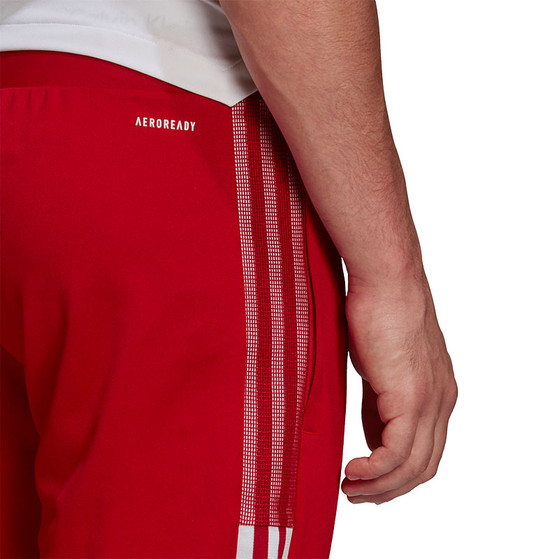 adidas Tiro Training Pant