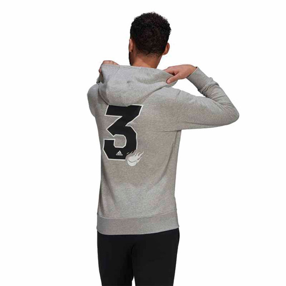 adidas Category Graphic Hoody
