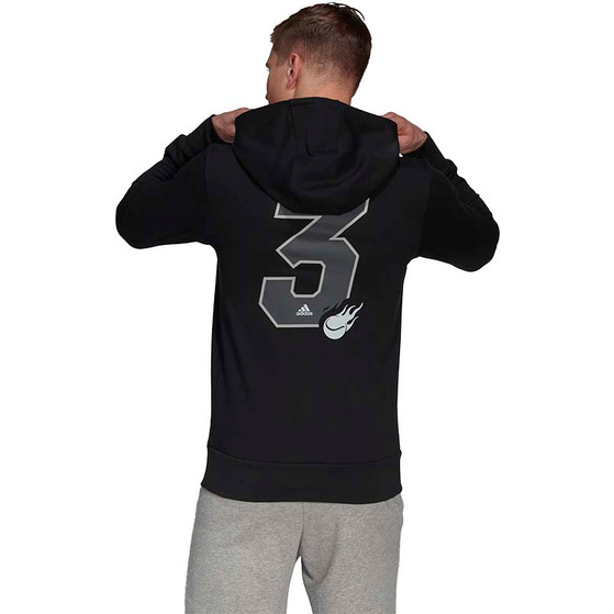 adidas Category Graphic Hoody