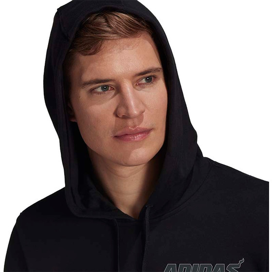 adidas Category Graphic Hoody