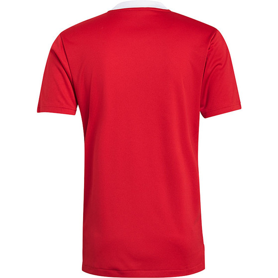 adidas Tiro Training Shirt