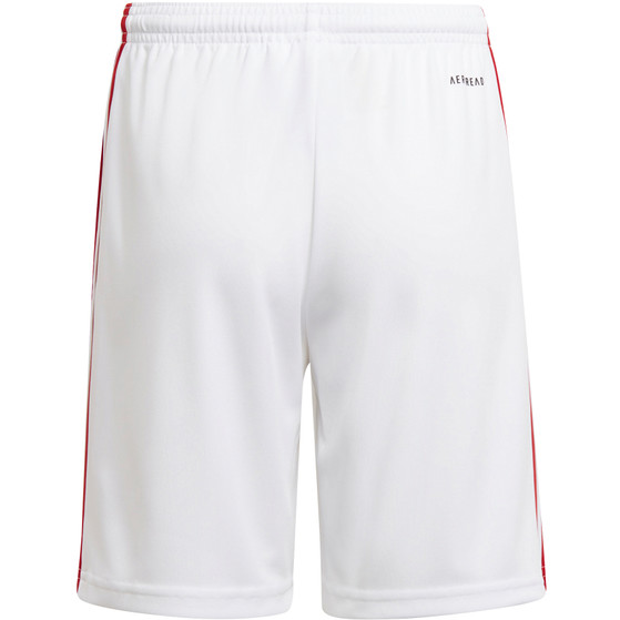 adidas Squadra Training Set Kids