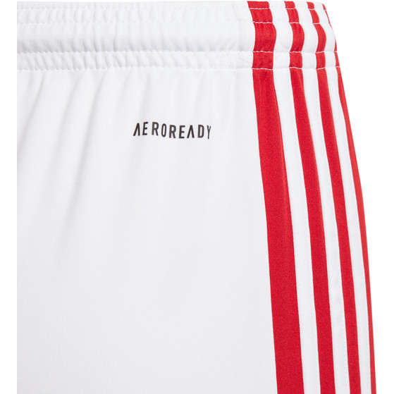 adidas Squadra Training Set Kids