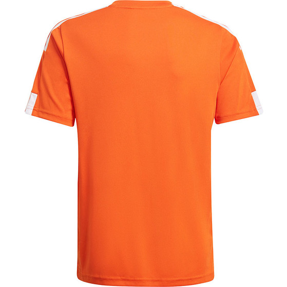 adidas Squadra Träningströja Barn