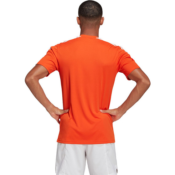 adidas Squadra Training Set