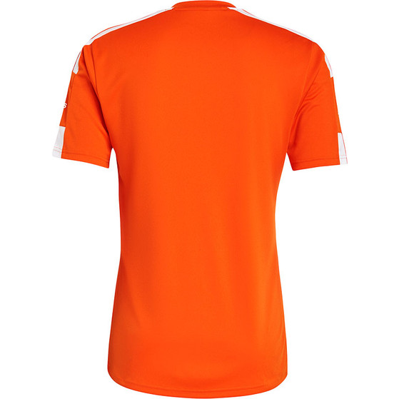 adidas Squadra Training Set