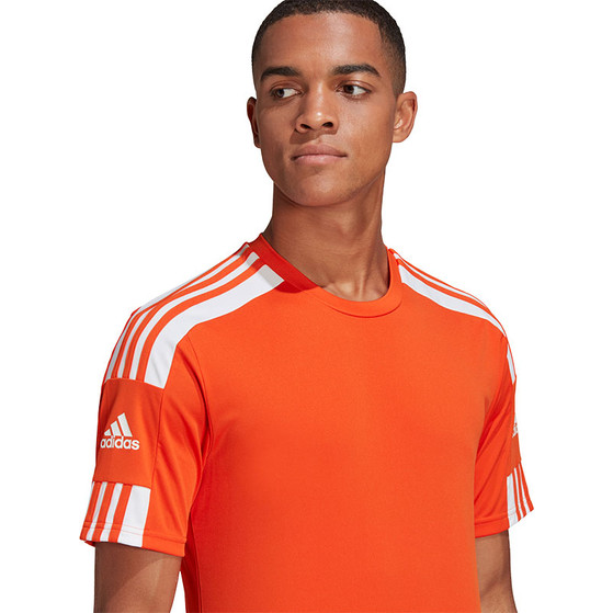 adidas Squadra Training Set