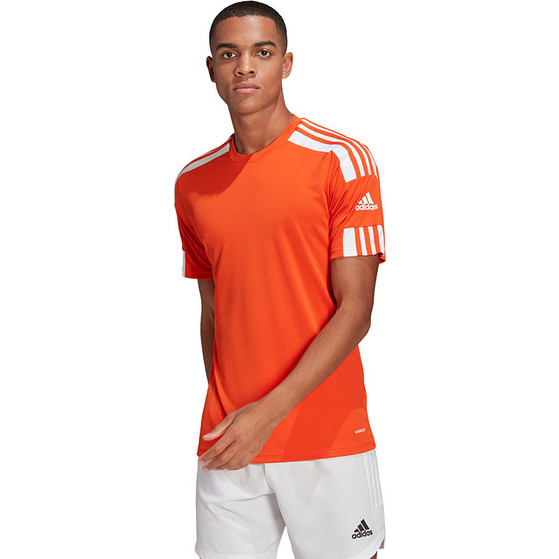adidas Squadra Training Set