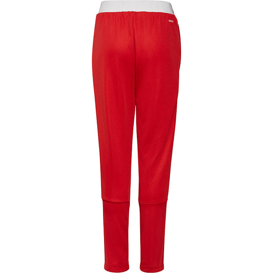 adidas Ajax Training Pant Kids 2021-2022