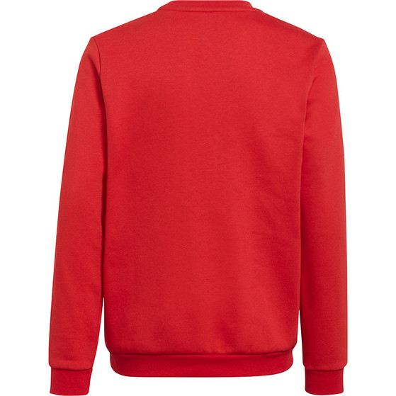 adidas Entrada 22 Sweat Top Kinder