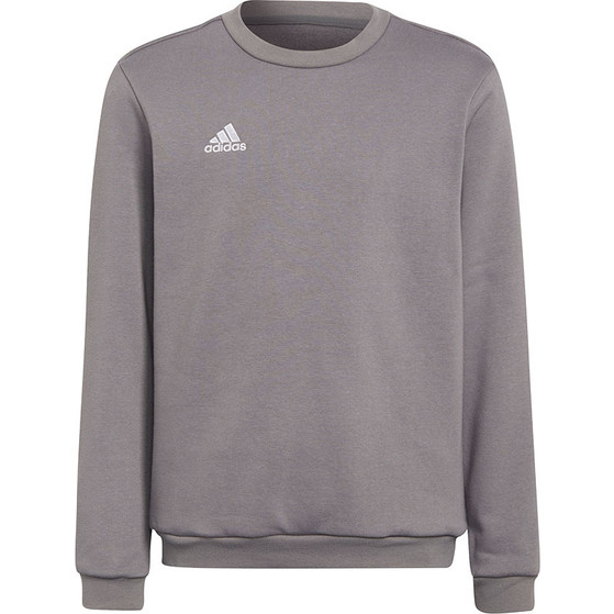 adidas Entrada 22 Sweat Top Barn