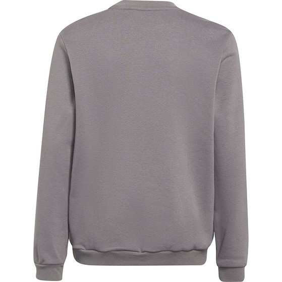 adidas Entrada 22 Sweat Top Barn