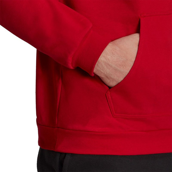 adidas Entrada 22 Hoody