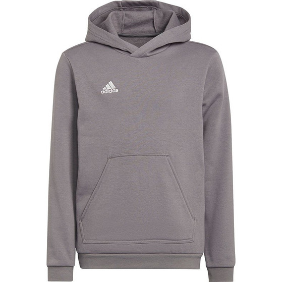 adidas Entrada 22 Hoody Barn