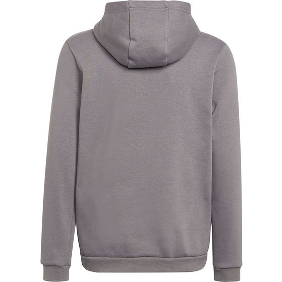 adidas Entrada 22 Hoody Barn