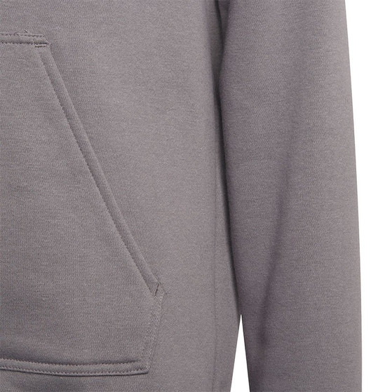 adidas Entrada 22 Hooded Sweat Trainingspak Kids