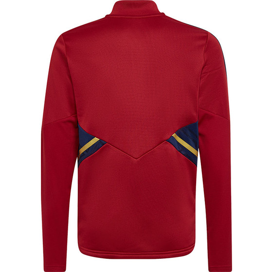 adidas Ajax Trainingspak Kids