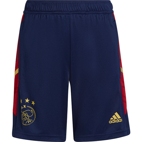 adidas Ajax Trainingsset Kids