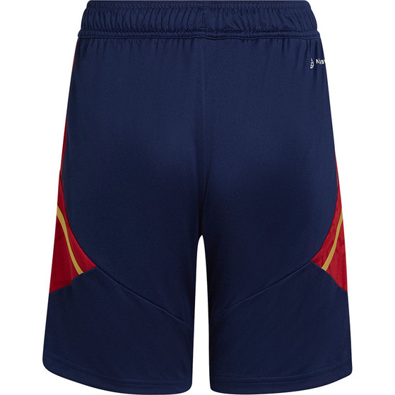 adidas Ajax Trainingsset Kids