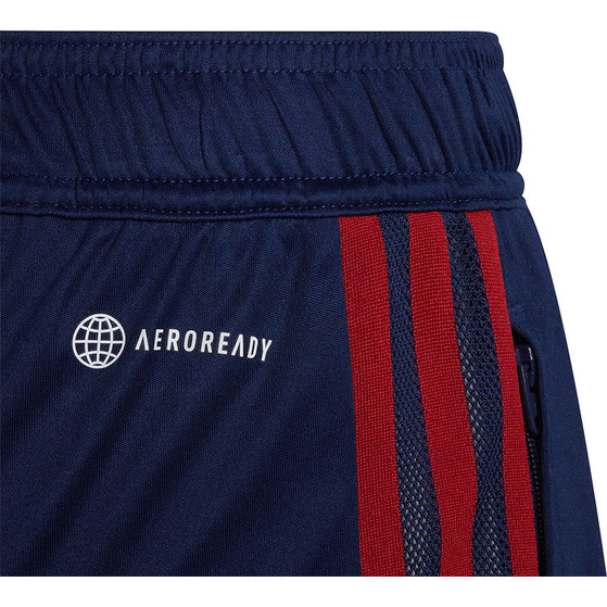 adidas Ajax Trainingsset Kids