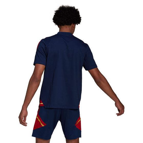adidas Ajax Polo Set
