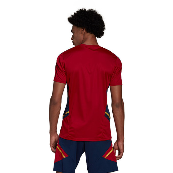 adidas Ajax Training Shirt 2022-2023