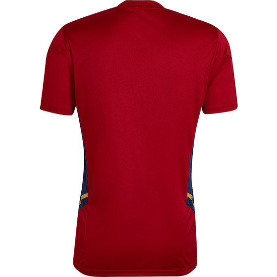 adidas Ajax Training Shirt 2022-2023