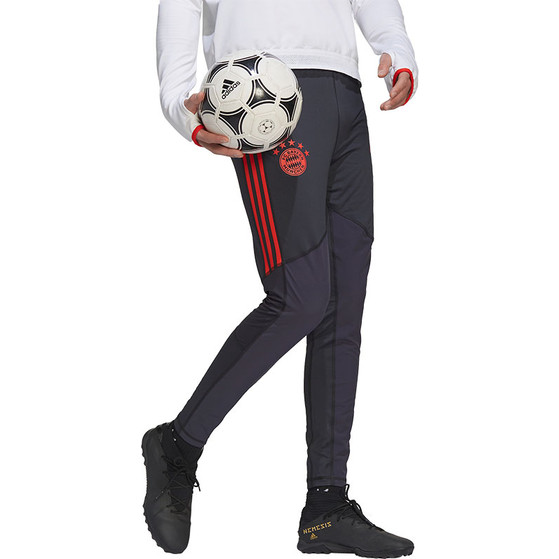 adidas Bayern München Pro Trainingspak