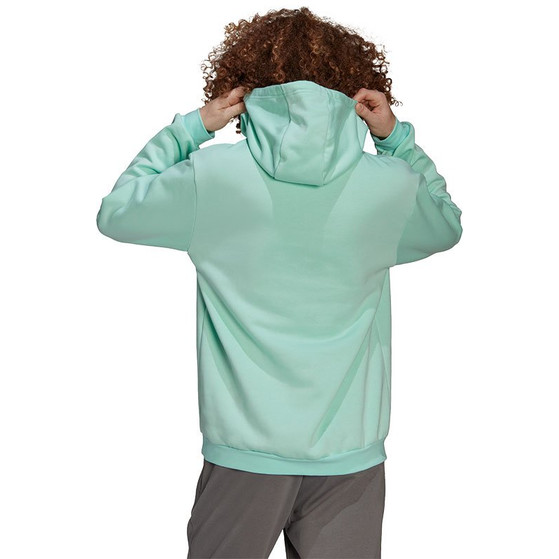 adidas Entrada 22 Hoody