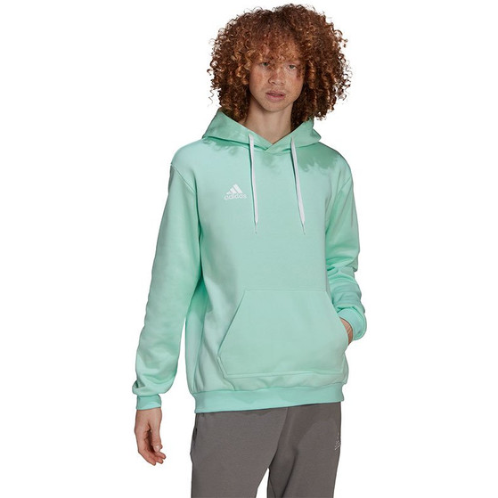 adidas Entrada 22 Hoody