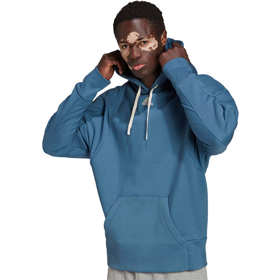 adidas Internal Hoody