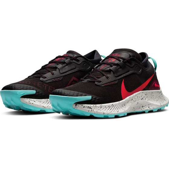 Nike Pegasus Trail 3 GTX Men