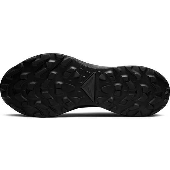 Nike Pegasus Trail 3 GTX Herren