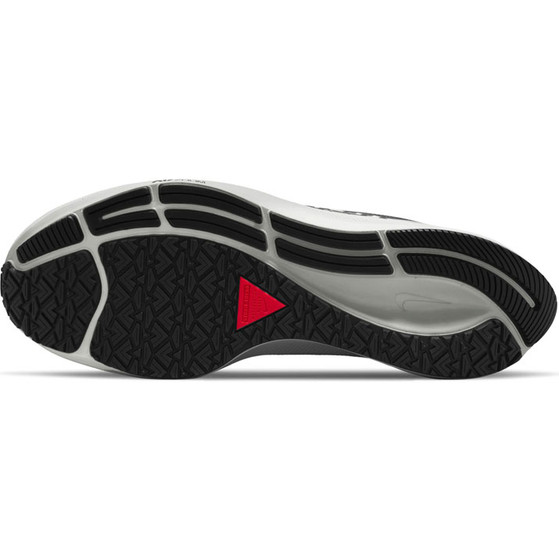 Nike Zoom Pegasus 38 Shield Men