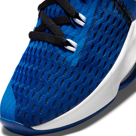 Nike LeBron Witness 5