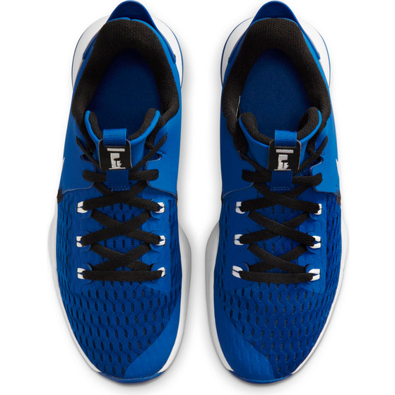 Nike LeBron Witness 5