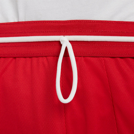 Nike Dri-Fit Basketball Shorts Men