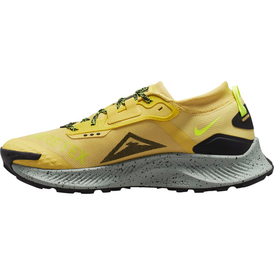 Nike Pegasus Trail 3 GTX Men