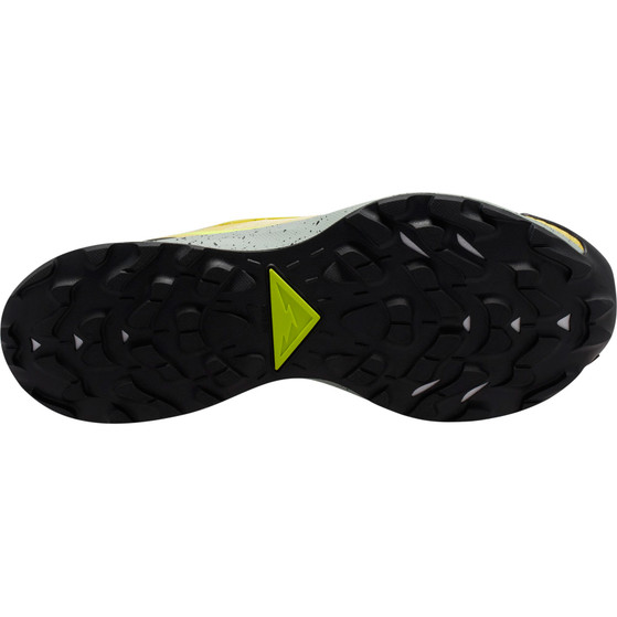 Nike Pegasus Trail 3 GTX Men