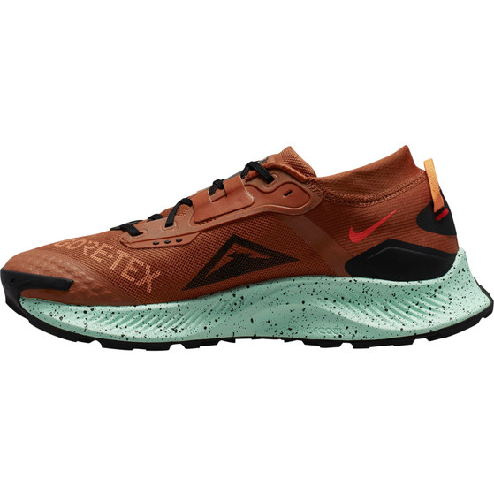 Nike Pegasus Trail 3 GTX Men