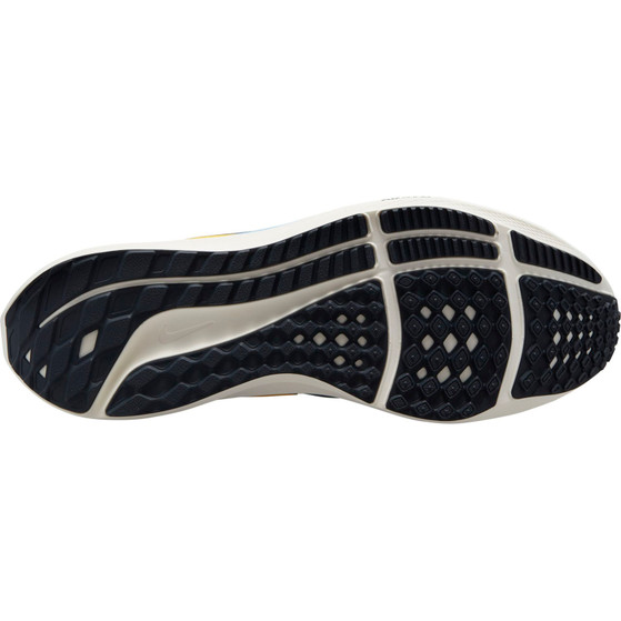 Nike Air Zoom Pegasus 39 PRM Men