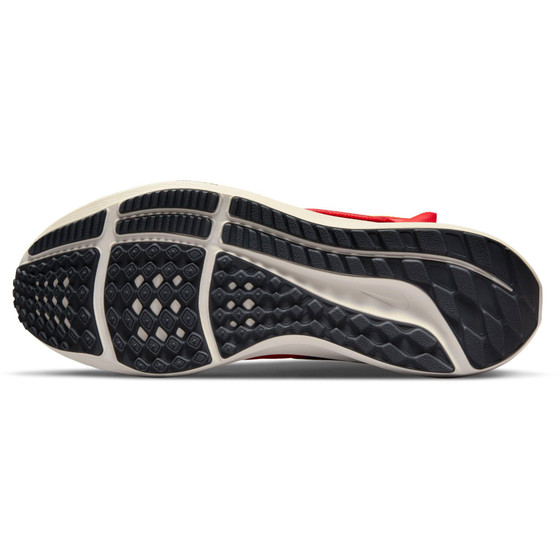 Nike AIR Zoom Pegasus 39 Flyease Herren