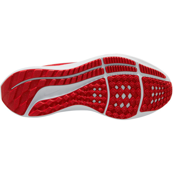 Nike AIR Zoom Pegasus 39 Damen