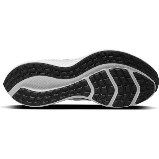 Nike Downshifter 10 Women