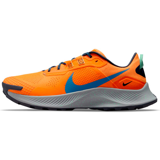 Nike Pegasus Trail 3 Herren