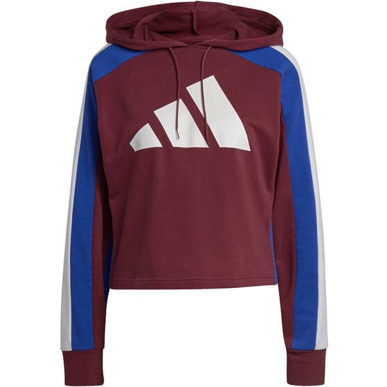 adidas Big Logo Trainingsanzug Damen Handballshop
