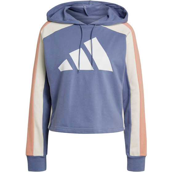 adidas Big Logo Trainingspak Women